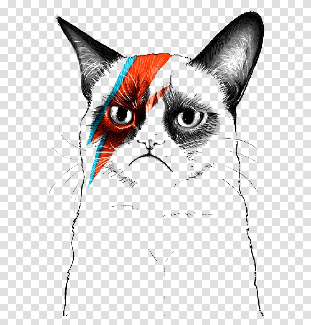 Grumpy Cat Musician Artist Grumpy Cat, Animal, Pet, Bird, Wolf Transparent Png
