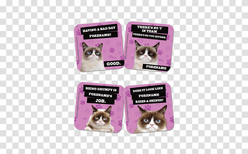 Grumpy Cat Pink Coasters Kitten, Mammal, Animal, Label, Text Transparent Png