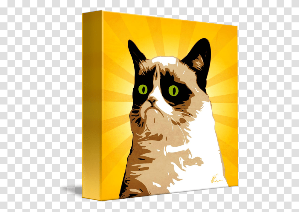 Grumpy Cat Pop Art, Advertisement, Pet, Animal, Mammal Transparent Png
