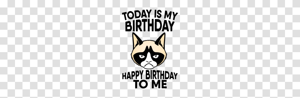 Grumpy Cat Today Is My Birthday Happy Birthday, Label, Stencil, Mammal Transparent Png
