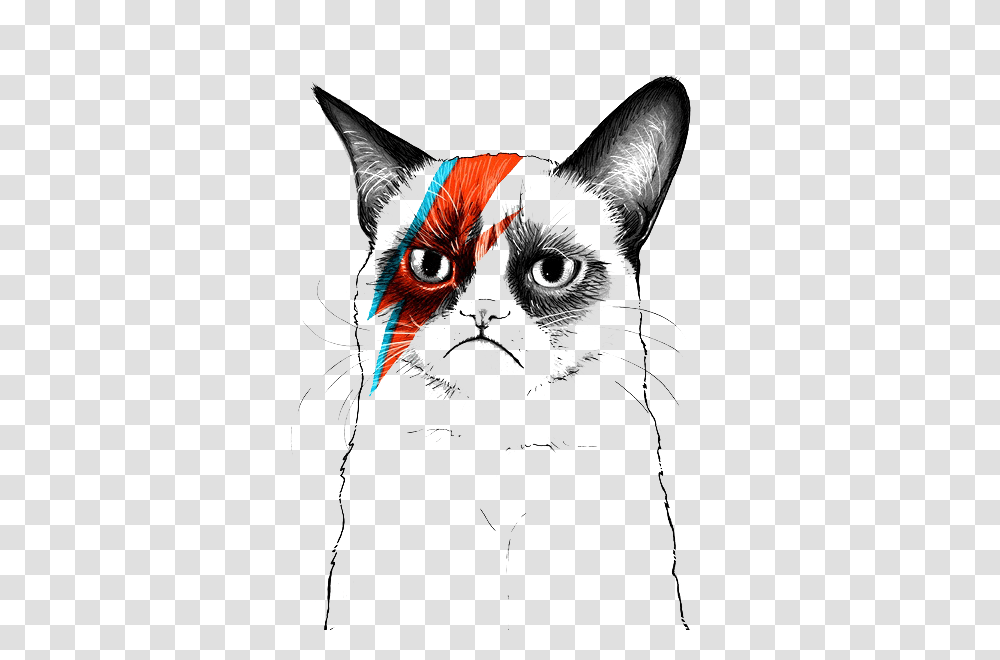 Grumpy Cat Tumblr, Drawing, Pet, Animal Transparent Png