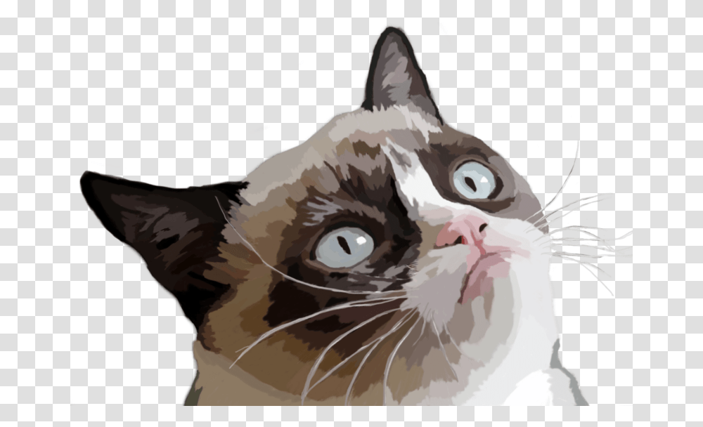 Grumpy Cat Vector Illustration Grumpy Cat Memes, Pet, Mammal, Animal, Bird Transparent Png