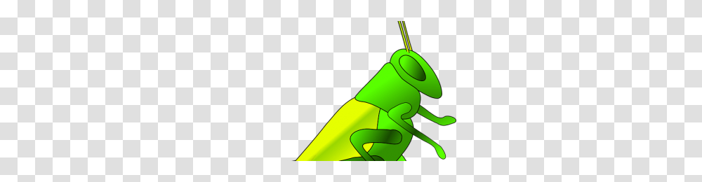 Grunge Texture Vector Image, Animal, Invertebrate, Insect, Grasshopper Transparent Png