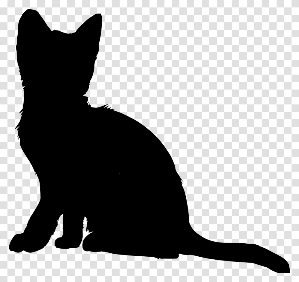 Gt Adorable Soft Animal Cat, Gray, World Of Warcraft Transparent Png