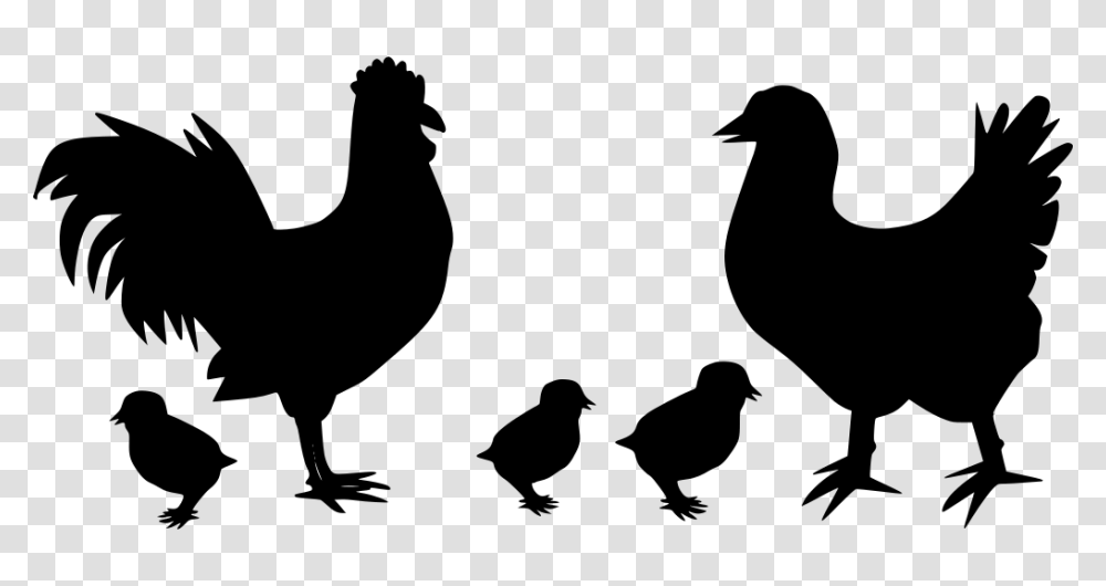 Gt Animal Bird Hen Poultry, Gray, World Of Warcraft Transparent Png