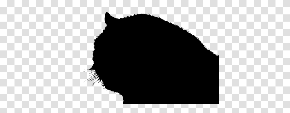 Gt Animal Cat Face Cartoon, Gray, World Of Warcraft Transparent Png