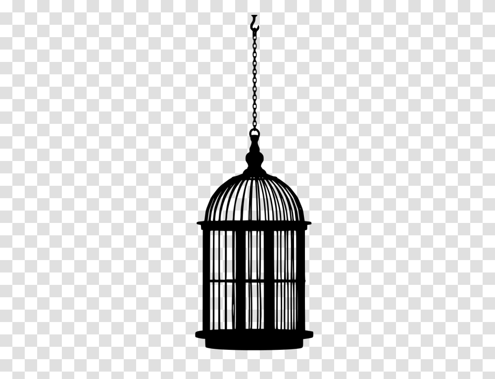 Gt Bird Cage Closed Hanging, Gray, World Of Warcraft Transparent Png