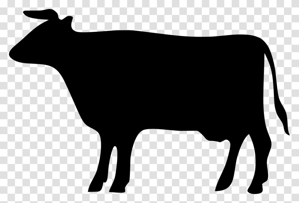 Gt Cattle Cow, Gray, World Of Warcraft Transparent Png