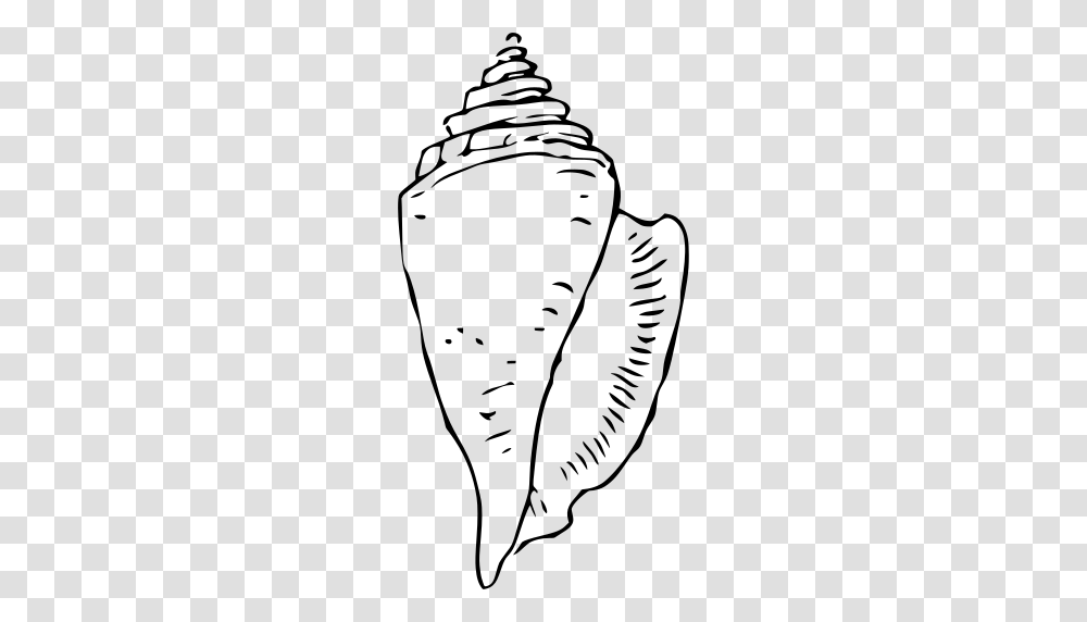 Gt Conch Shell Seashell, Gray, World Of Warcraft Transparent Png