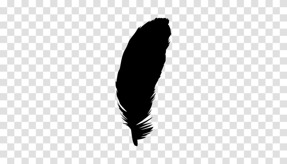 Gt Feather Fly Trace, Gray, World Of Warcraft Transparent Png