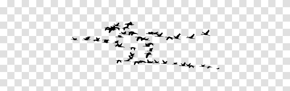 Gt Geese Flock Flying, Gray, World Of Warcraft Transparent Png