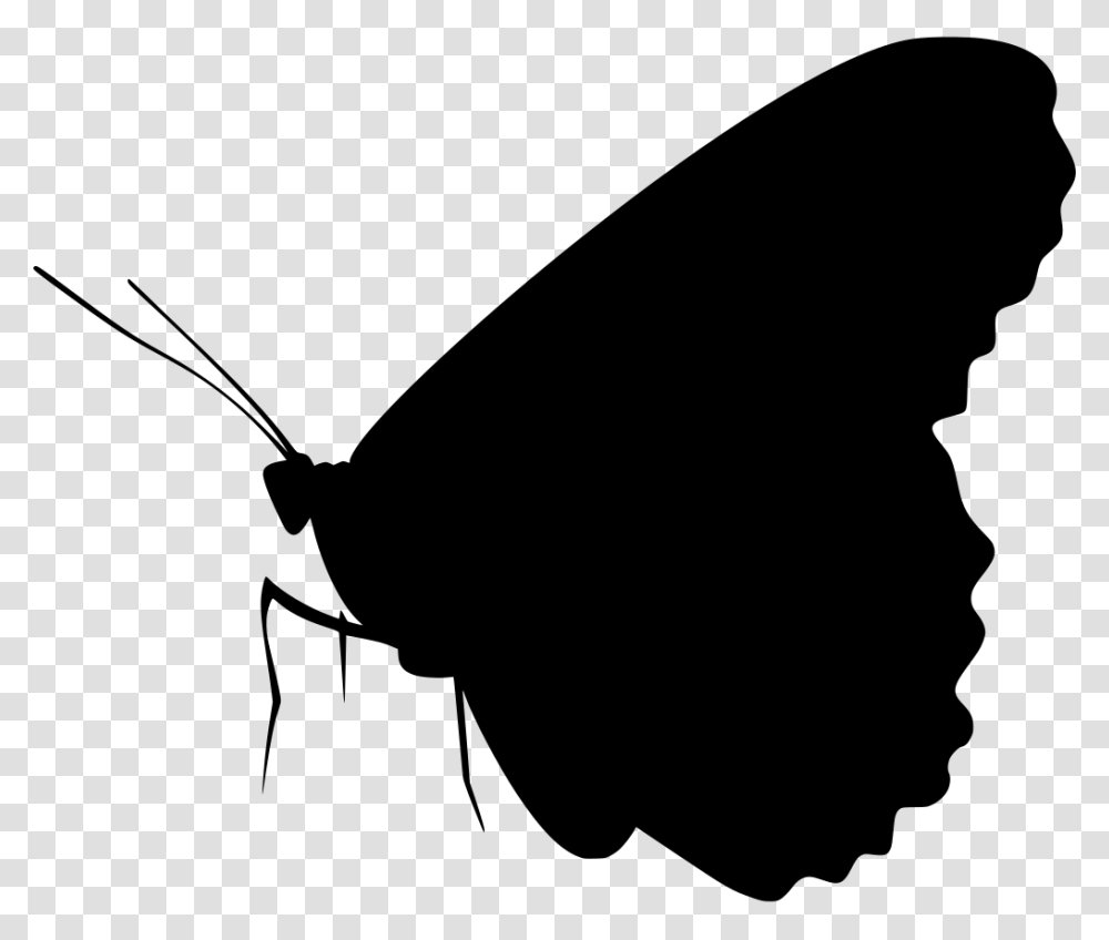 Gt Insect Animal Monarch Butterfly, Gray, World Of Warcraft Transparent Png
