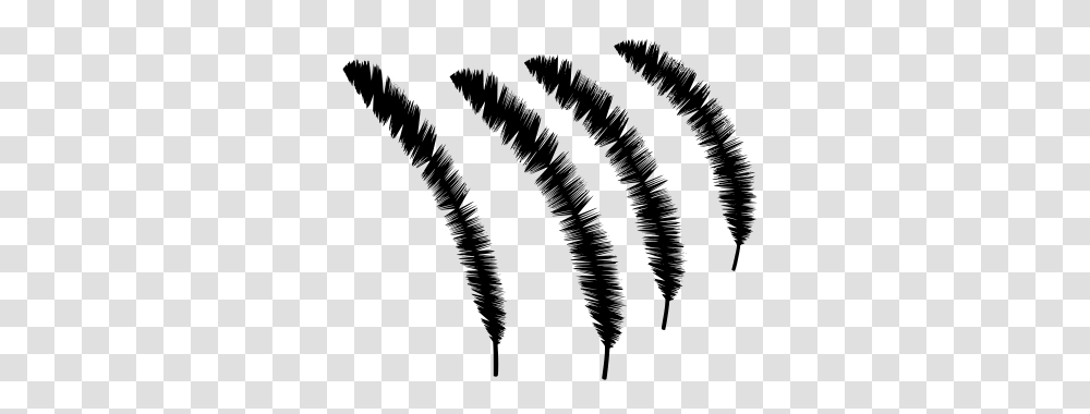 Gt Isolated Feather Peacock, Gray, World Of Warcraft Transparent Png