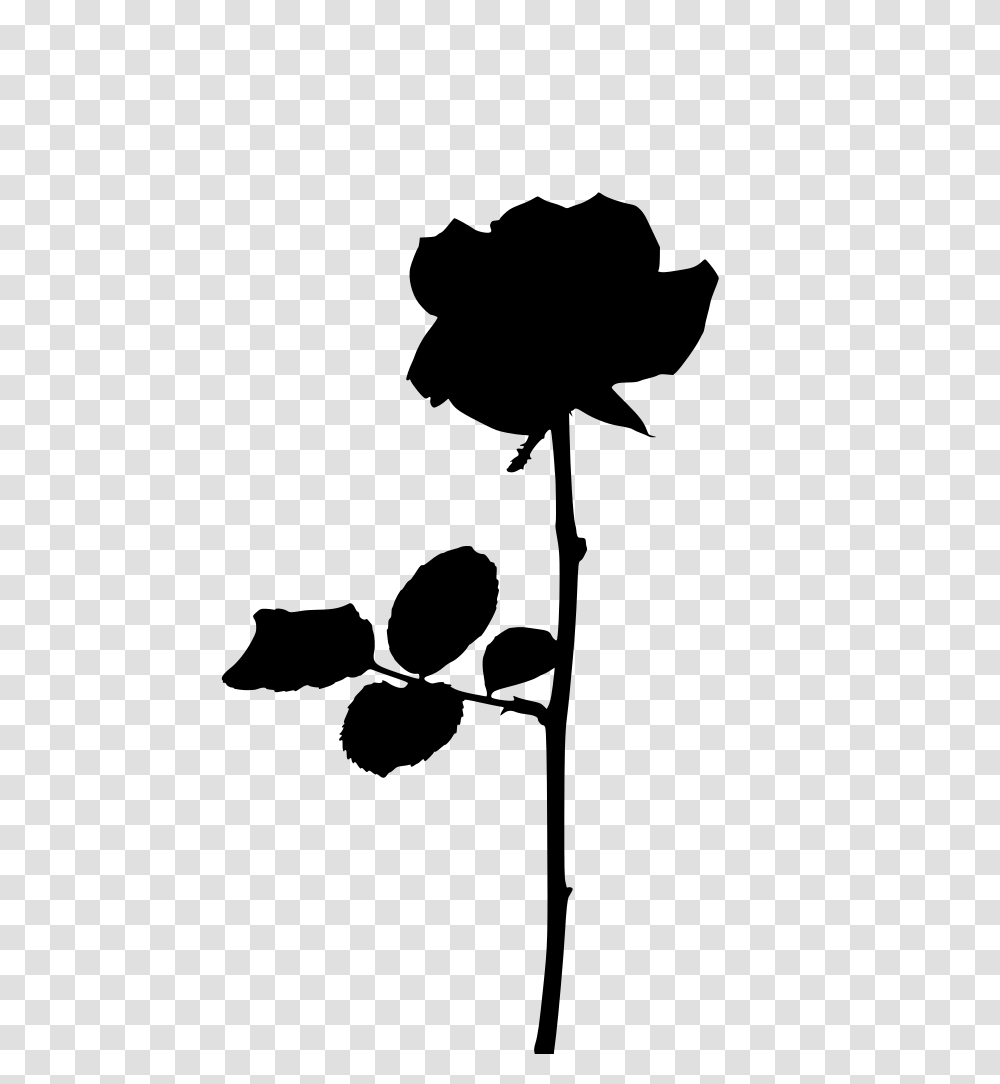 Gt Isolated Orange Rose, Gray, World Of Warcraft Transparent Png