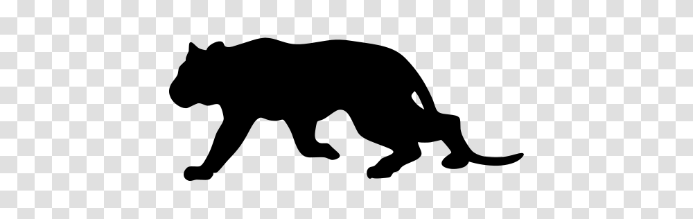Gt Mammal Cat Wildcat Carnivore, Gray, World Of Warcraft Transparent Png