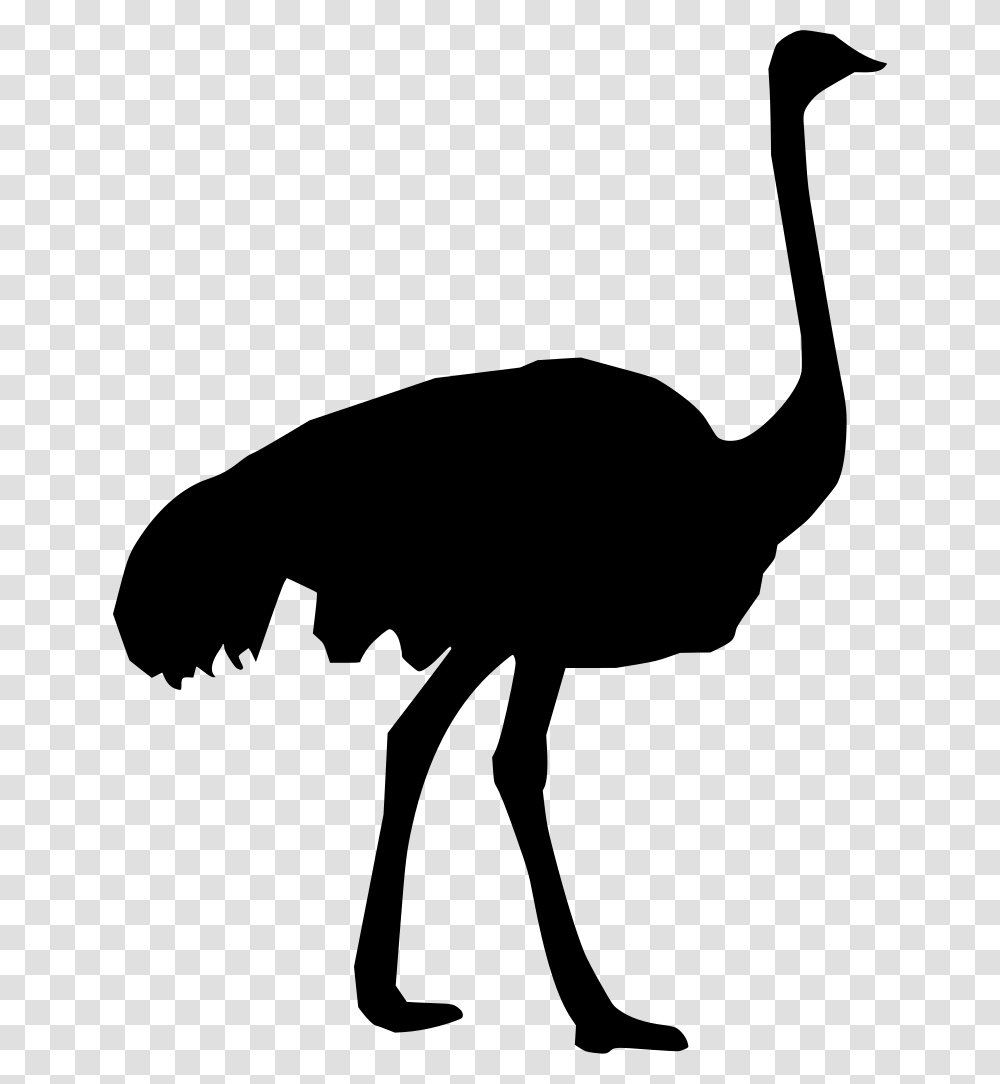 Gt Ostrich Zoo, Gray, World Of Warcraft Transparent Png
