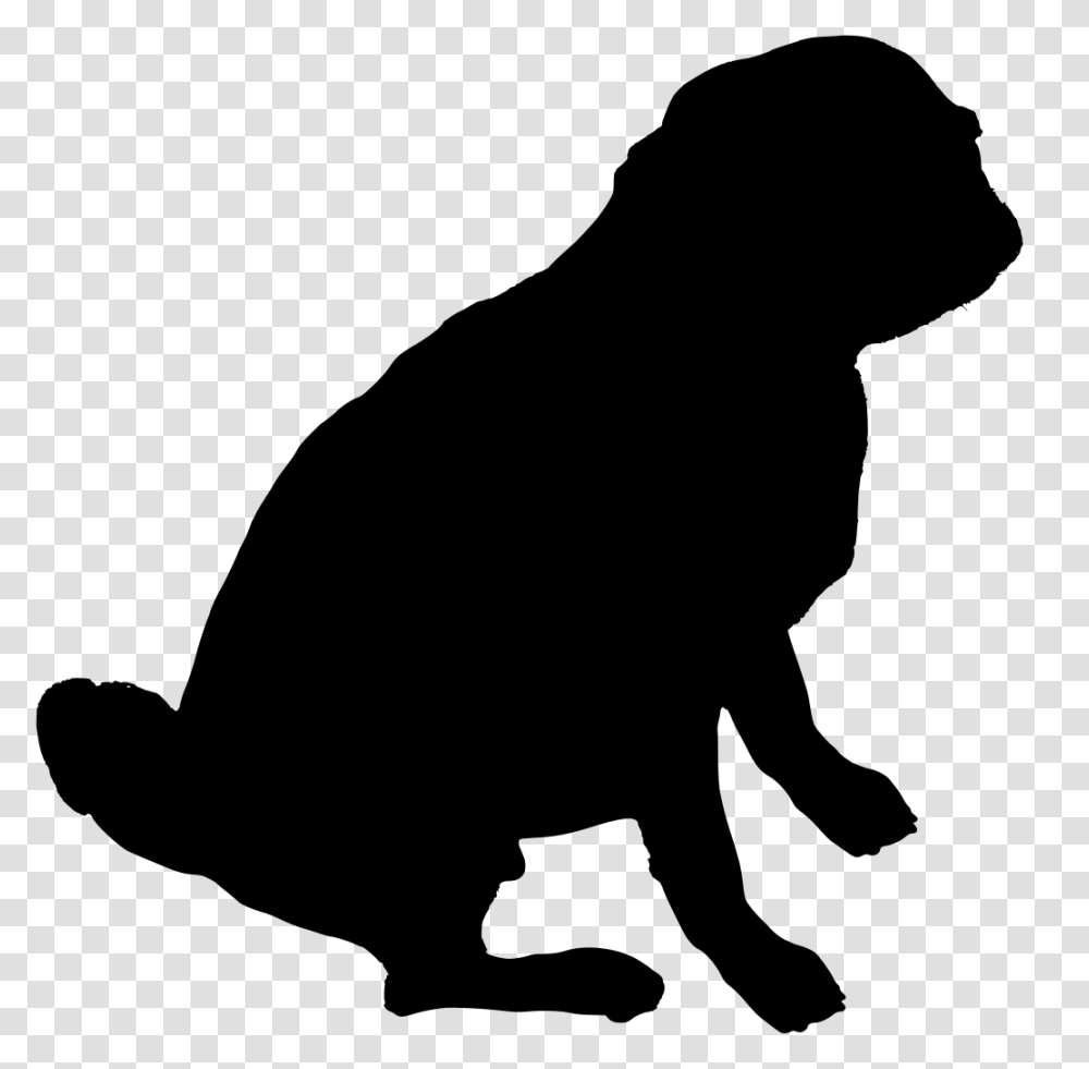 Gt Tail Dog Background Card, Gray, World Of Warcraft Transparent Png