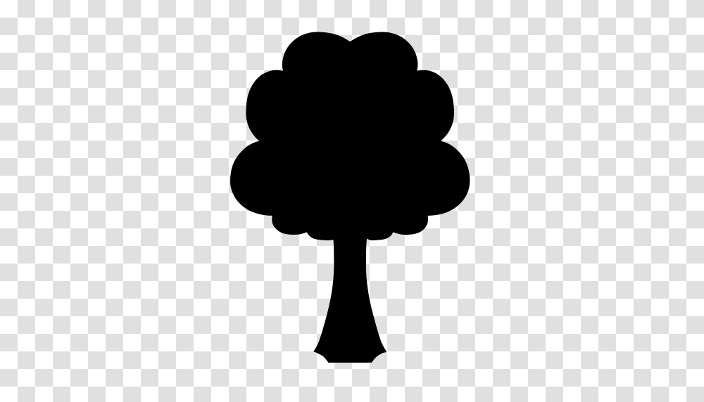 Gt Tree Growing Roots Spring, Gray, World Of Warcraft Transparent Png