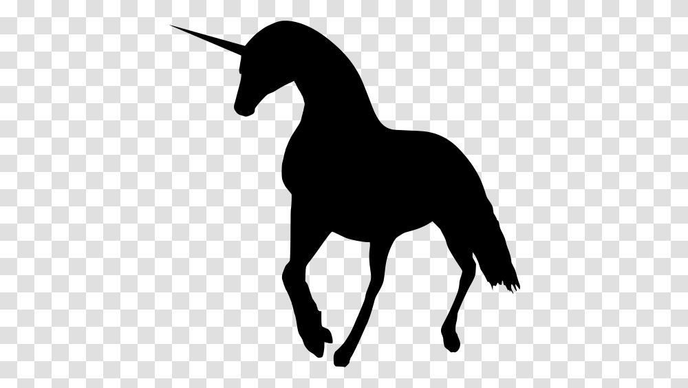 Gt Unicorn Horse, Gray, World Of Warcraft Transparent Png