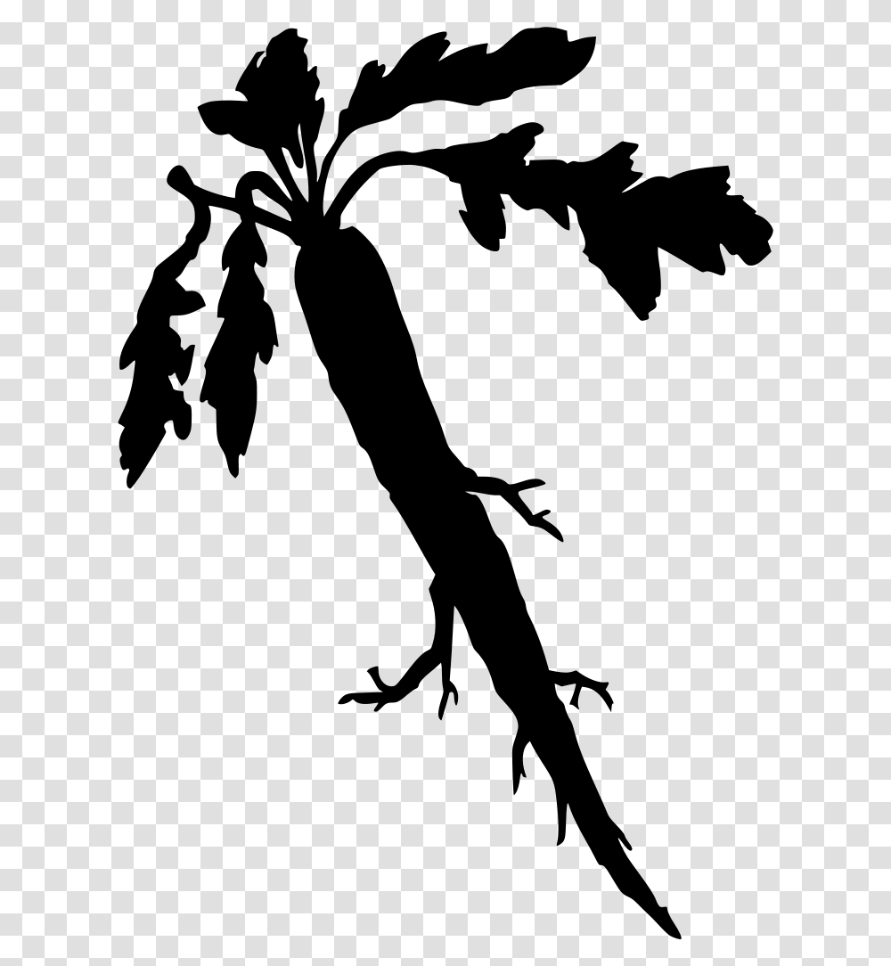 Gt Vegetable Food Edible Root, Gray, World Of Warcraft Transparent Png