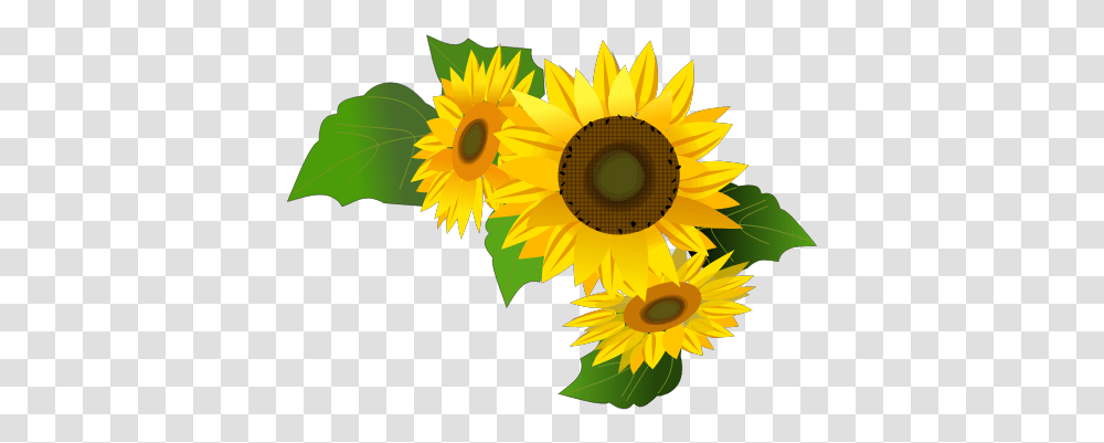 Gtsport Decal Search Engine Fresh, Plant, Flower, Blossom, Sunflower Transparent Png