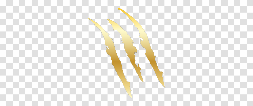 Gtsport Decal Search Engine Gold Claw Marks, Hook, Person, Human Transparent Png