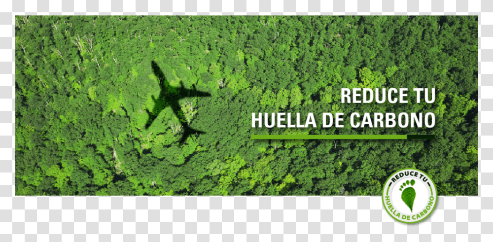 Guacamaya Carbon Offset Flight, Vegetation, Plant, Land, Outdoors Transparent Png