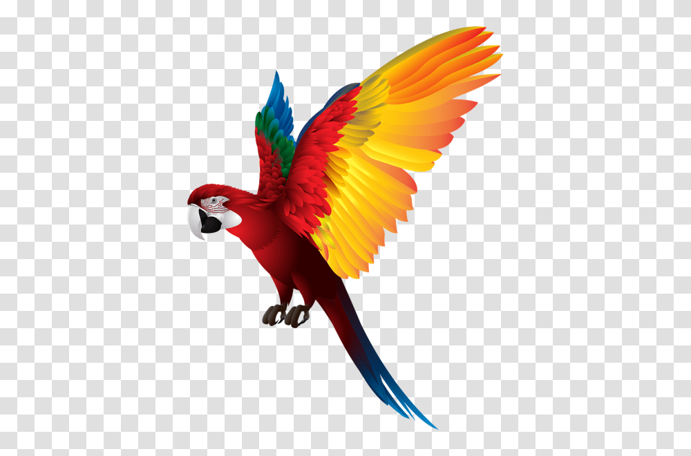Guacamayas Parrot Birds, Animal, Macaw, Flying Transparent Png