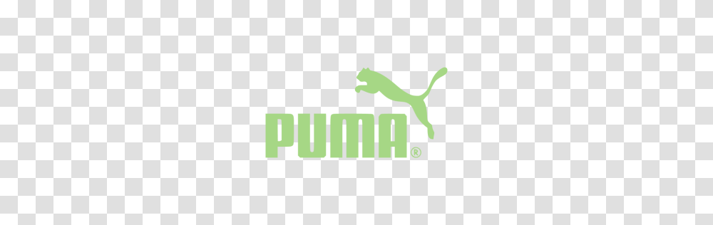 Guacamole Green Puma Icon, Texture, Plant, Accessories, Accessory Transparent Png