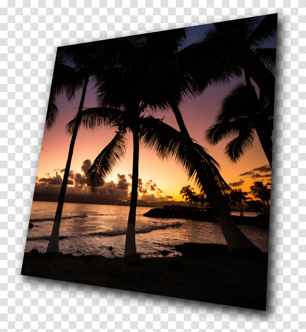 Guadeloupe Plage St Anne Couch De Soleil, Nature, Outdoors, Sunset, Sky Transparent Png
