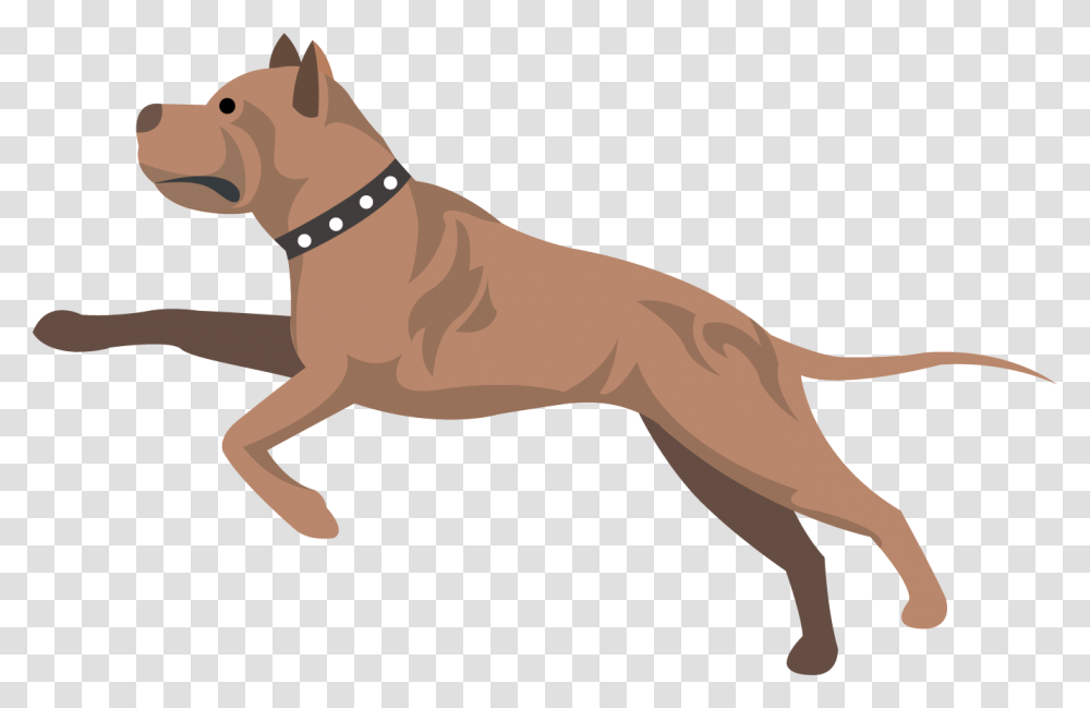 Guard Dog, Strap, Animal, Pet, Bulldog Transparent Png