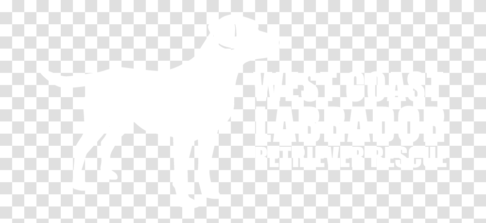 Guard Dog, White, Texture, White Board Transparent Png