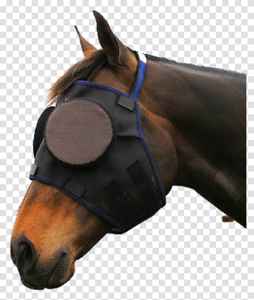 Guardian Paddock Mask Horse With Eye Cover, Spoke, Machine, Mammal, Animal Transparent Png