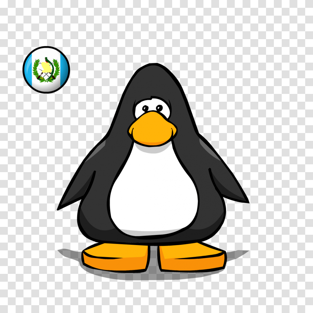 Guatemala Flag Club Penguin Rewritten Wiki Fandom Powered, Animal, Bird, King Penguin Transparent Png