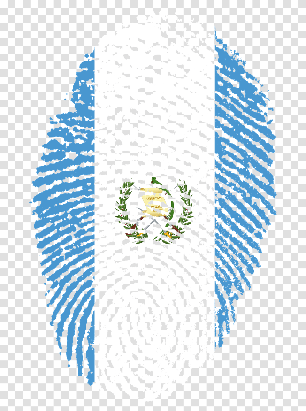 Guatemala Flag, Rug, Panther, Animal Transparent Png