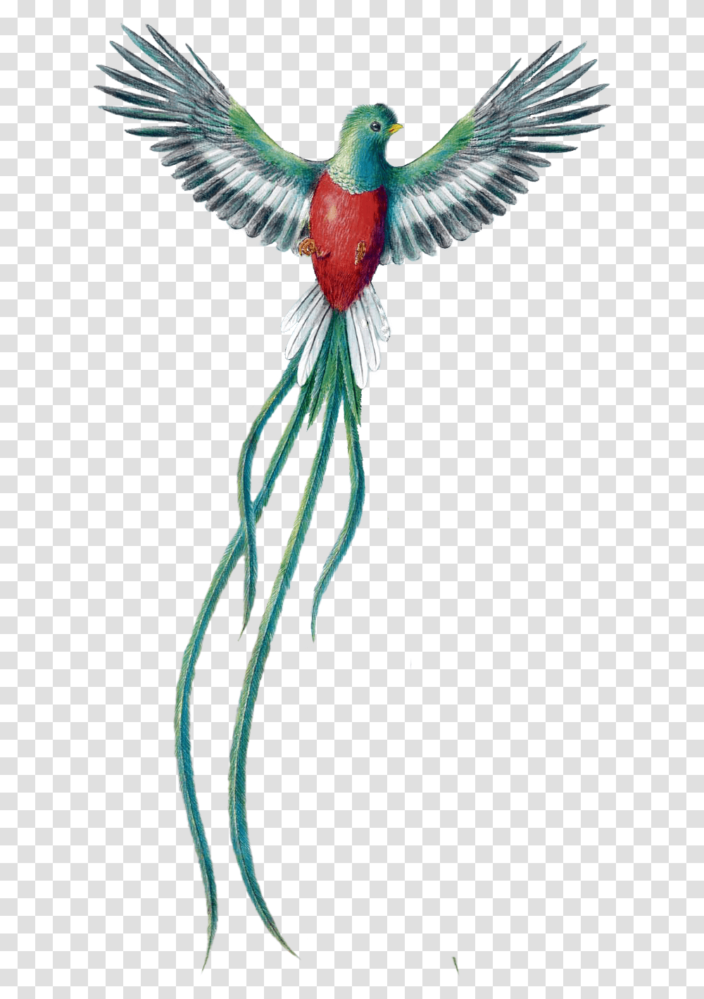 Guatemalan Quetzal Bird, Animal, Toy, Kite Transparent Png