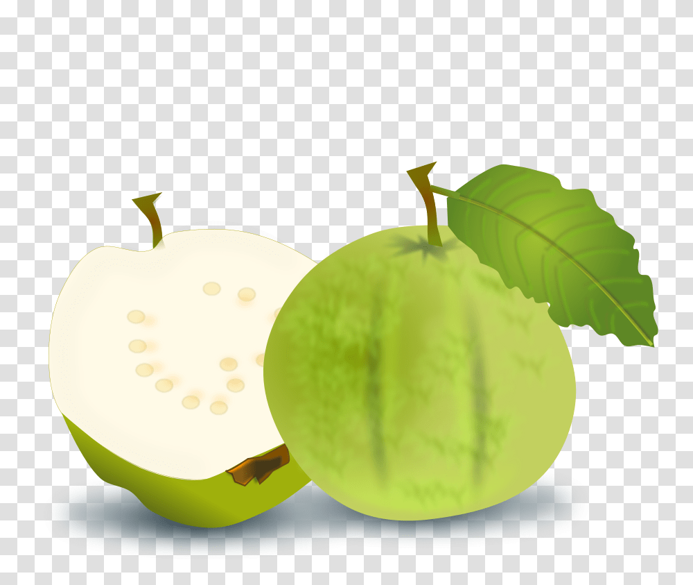Guava Clip Arts For Web, Plant, Fruit, Food, Tennis Ball Transparent Png