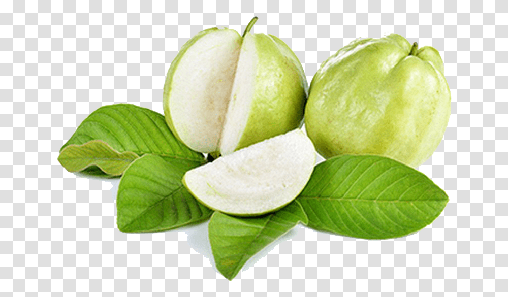 Guava Free Download Green Guava, Sliced, Plant, Fruit, Food Transparent Png