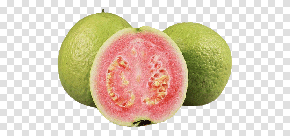 Guava, Fruit, Apple, Plant, Food Transparent Png