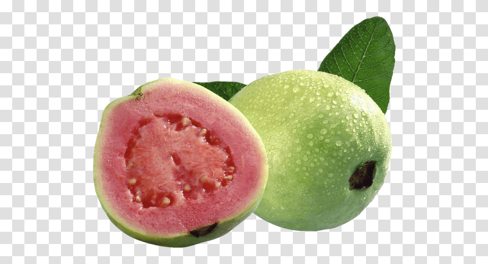 Guava Fruit Food Guava Fruits, Plant, Melon, Watermelon Transparent Png