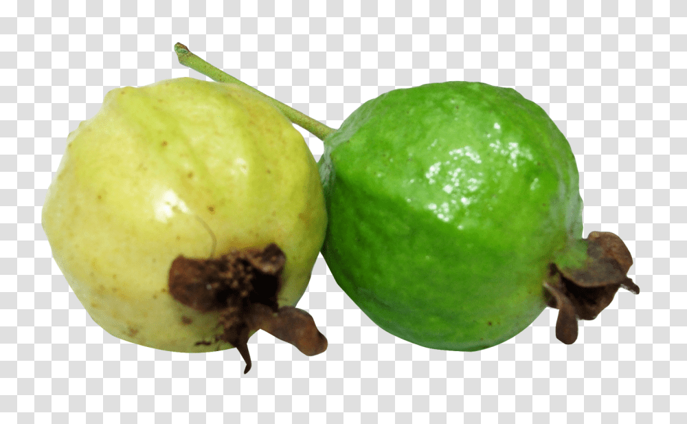 Guava, Fruit, Plant, Food, Citrus Fruit Transparent Png