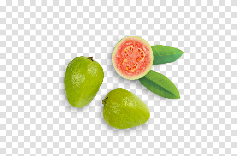 Guava, Fruit, Plant, Food, Citrus Fruit Transparent Png