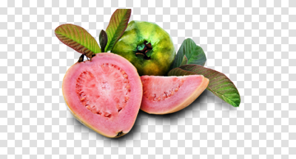 Guava, Fruit, Plant, Food, Leaf Transparent Png