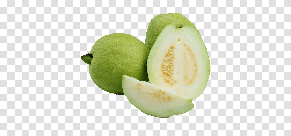Guava, Fruit, Plant, Food, Melon Transparent Png