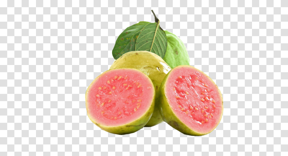 Guava, Fruit, Plant, Food, Melon Transparent Png