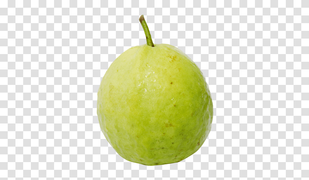 Guava, Fruit, Plant, Food, Pear Transparent Png