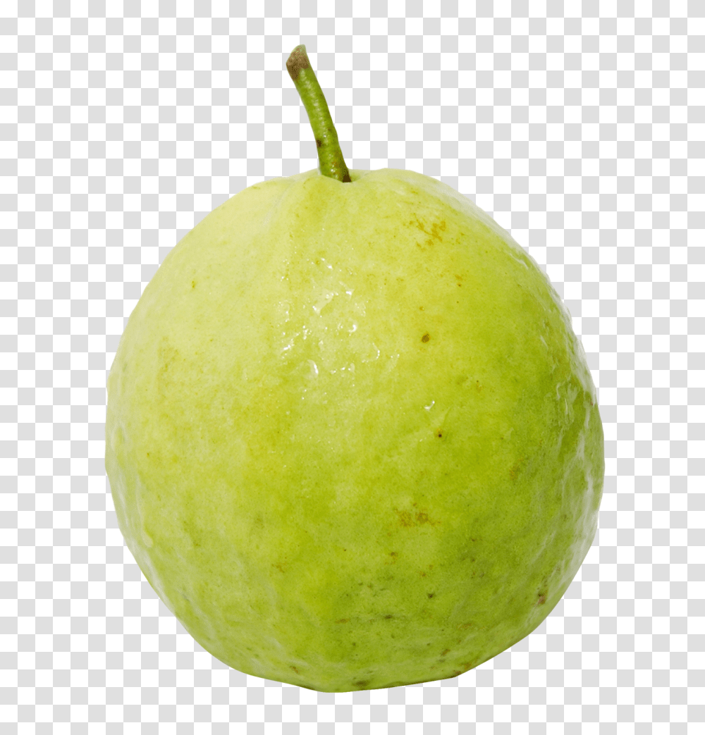 Guava, Fruit, Plant, Food, Pear Transparent Png