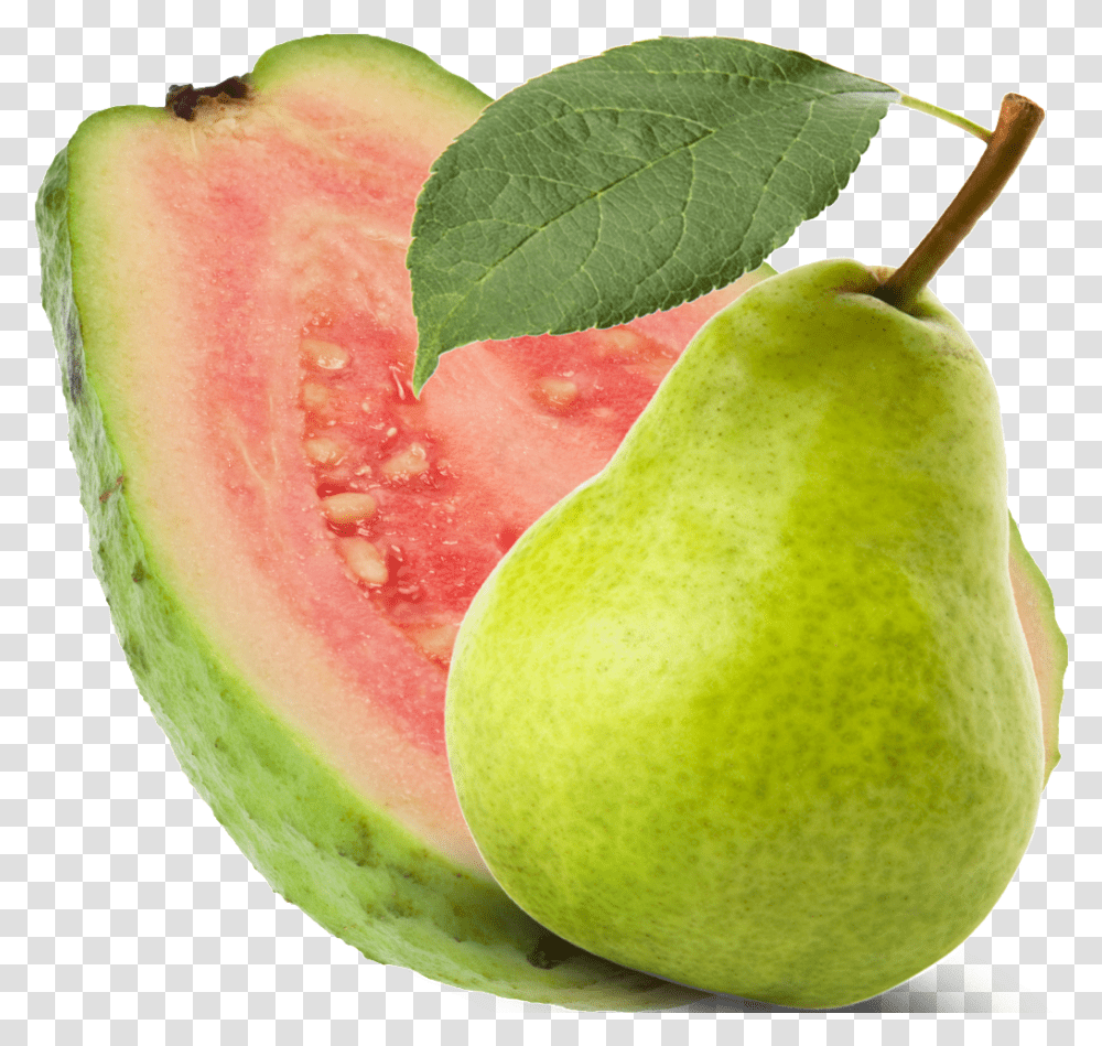 Guava, Fruit, Plant, Food, Pear Transparent Png