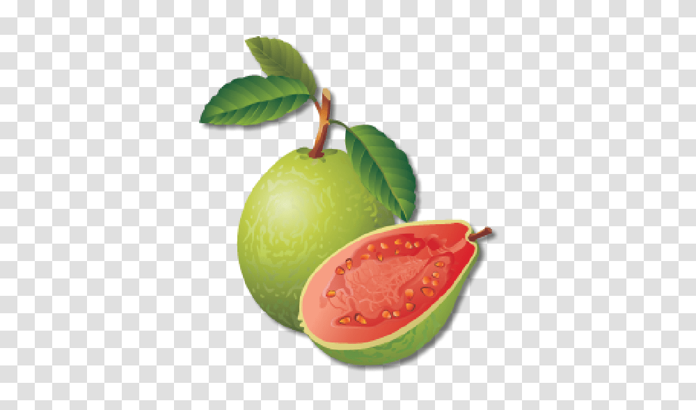 Guava, Fruit, Plant, Food, Watermelon Transparent Png