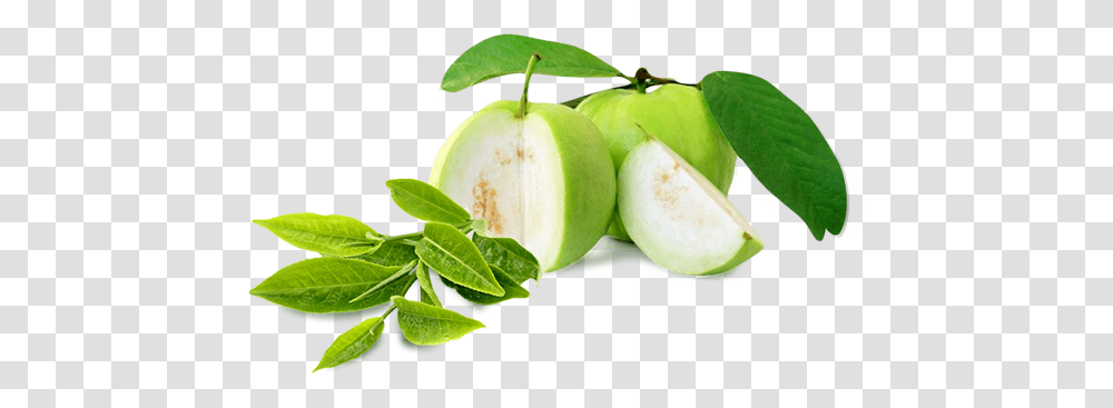 Guava, Fruit, Plant, Leaf, Food Transparent Png